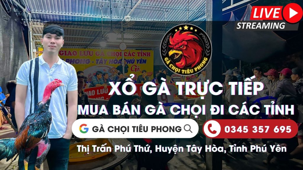 Video xổ gà 28/6